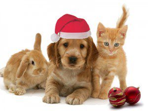 Animal-Christmas-1-300x225