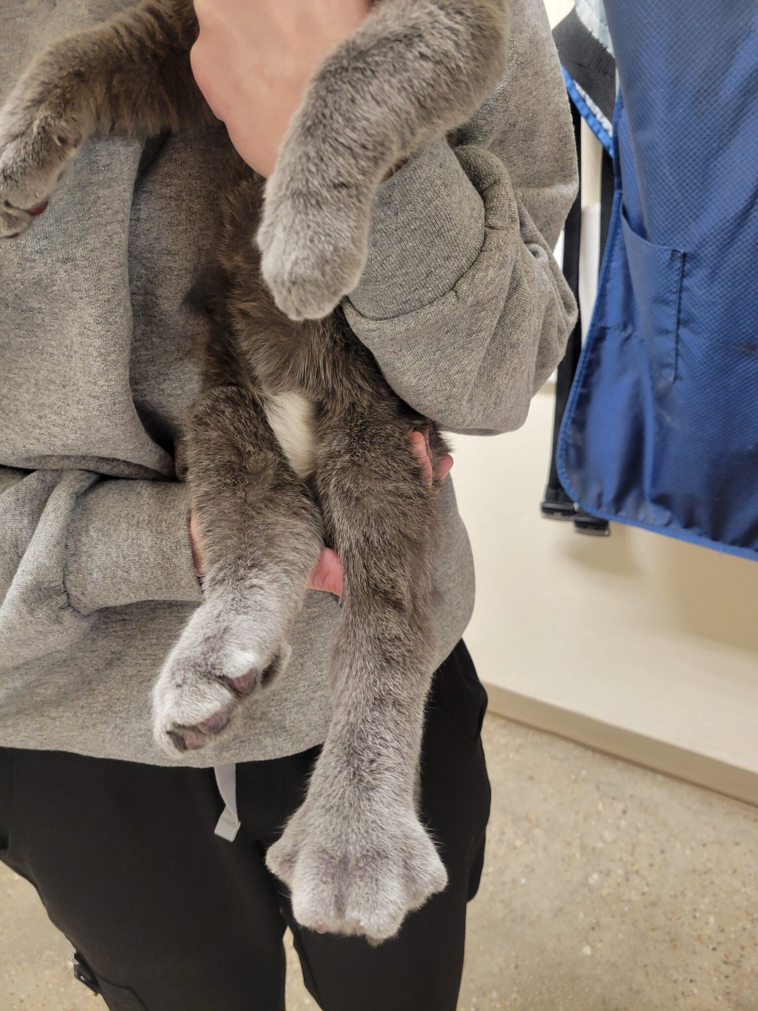 Frostbite Bites - Practical PetVet®